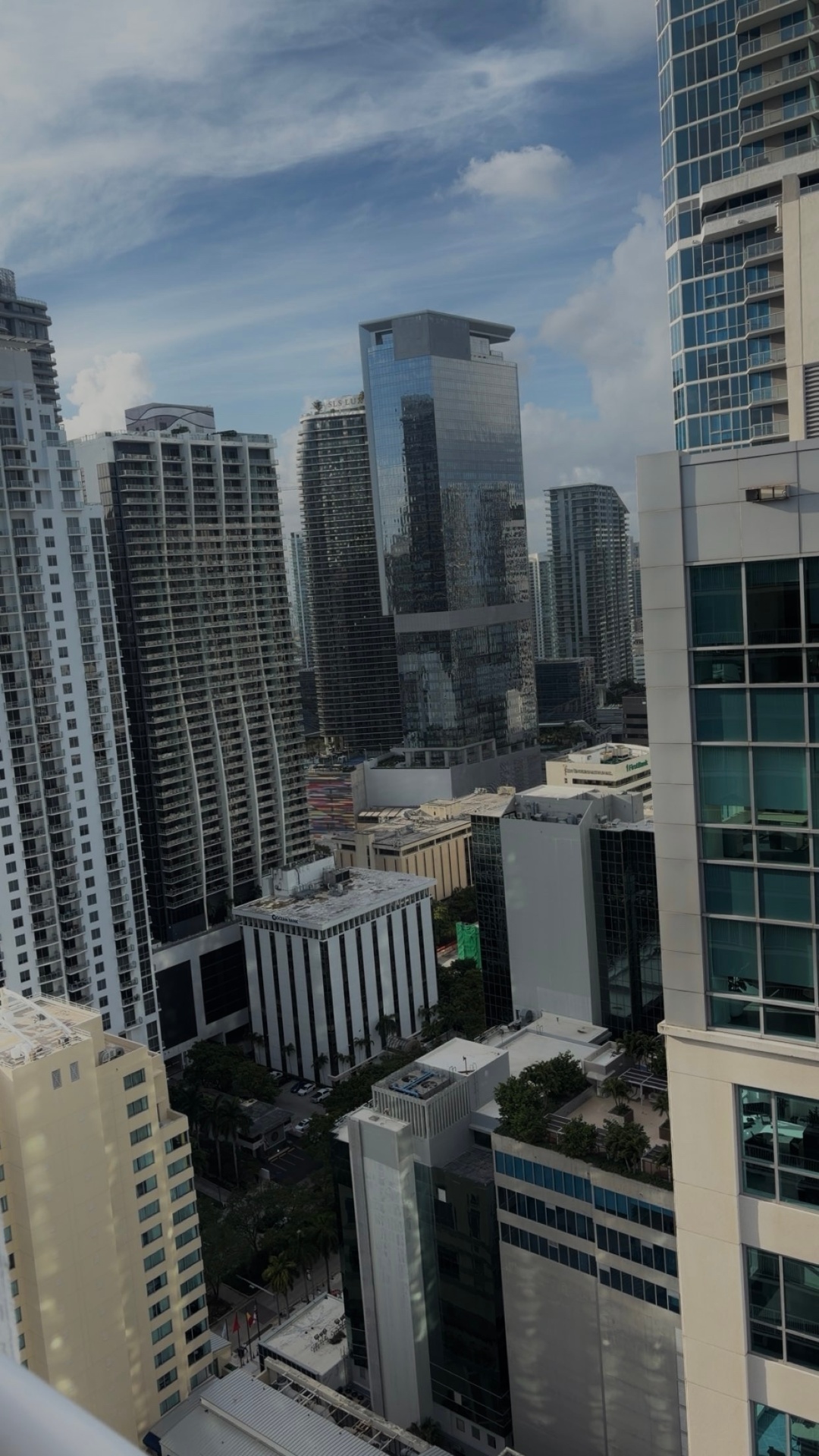 Miami skyline